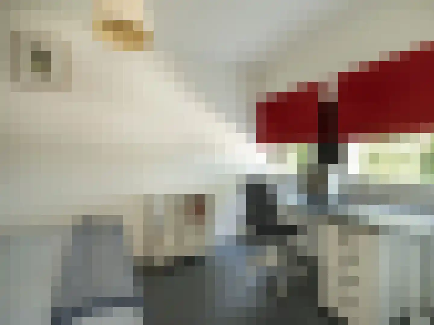 Tiendweg 2 A Bavel thumbnail 21