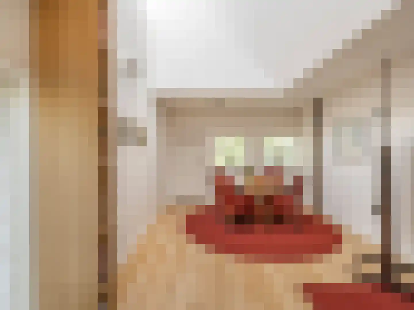Tiendweg 2 A Bavel thumbnail 30
