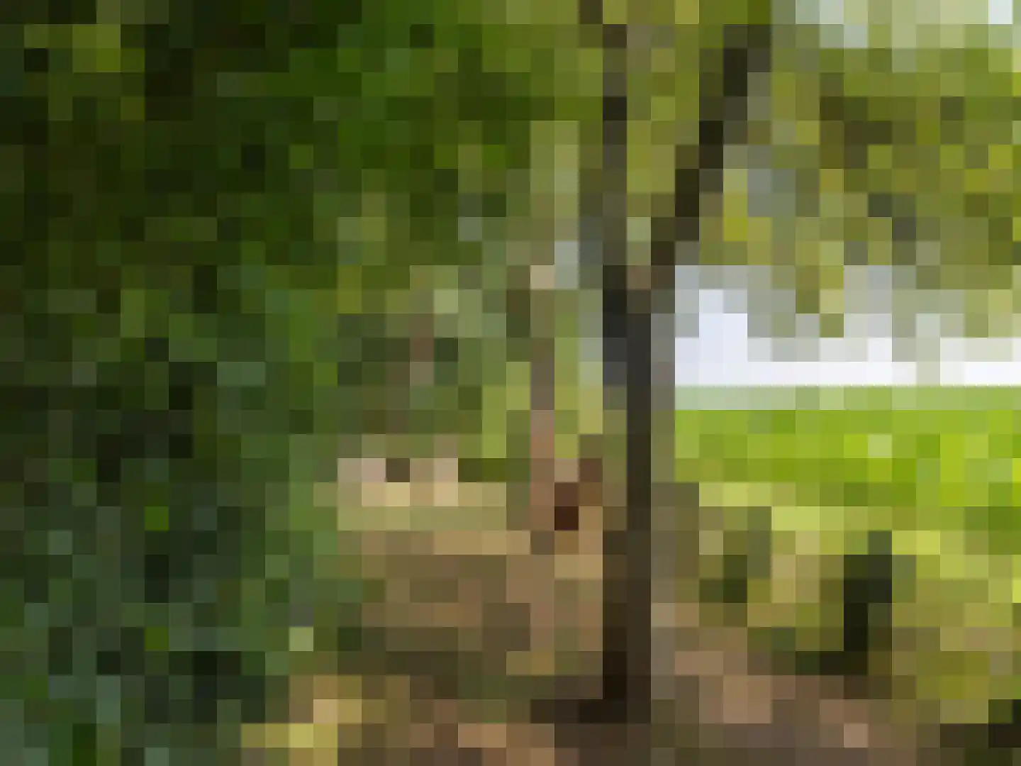 Tiendweg 2 A Bavel thumbnail 48