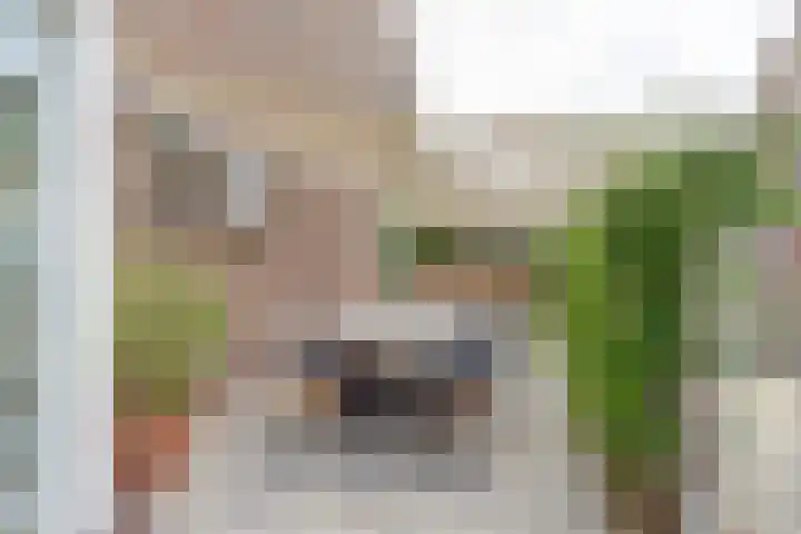 Tiendweg 96 Leerdam thumbnail 45