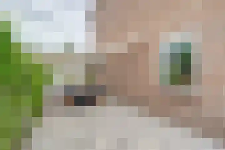 Tiendweg 96 Leerdam thumbnail 46