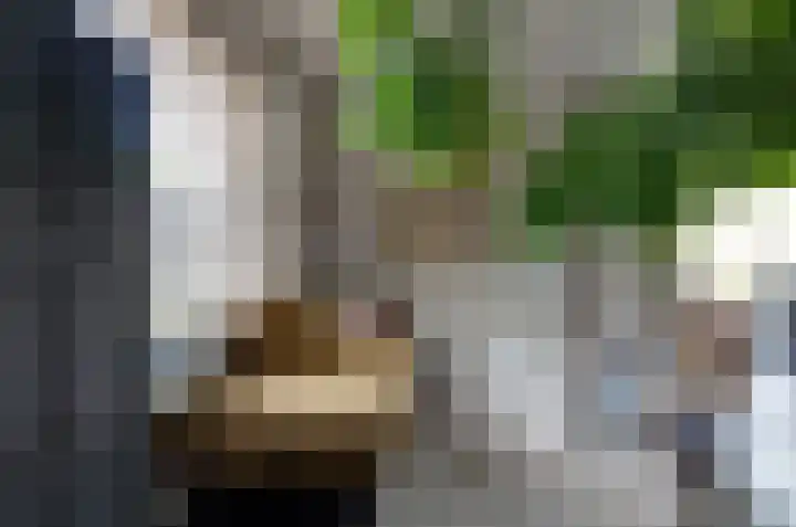 Tiengastraat 14 A Opende thumbnail 9
