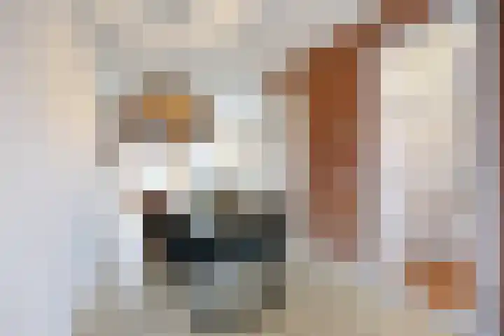 Tiengastraat 8 Opende thumbnail 16