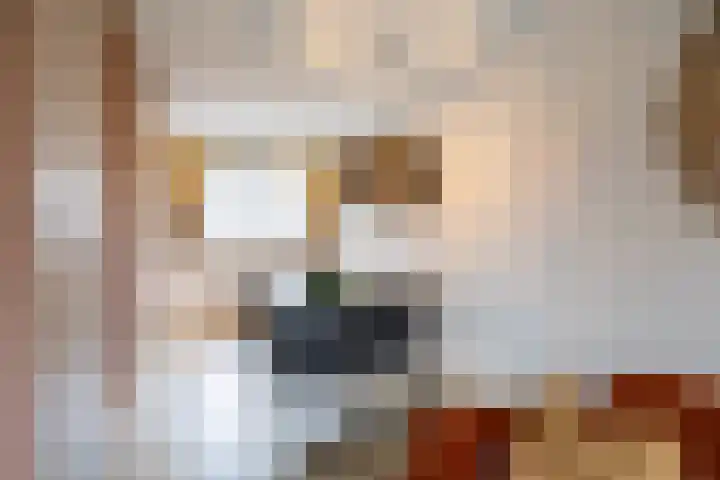 Tiengastraat 8 Opende thumbnail 20
