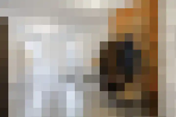 Tiengastraat 8 Opende thumbnail 26
