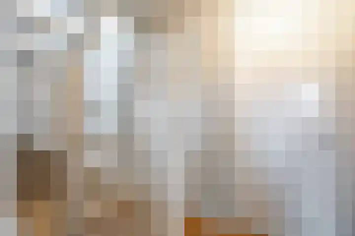 Tiengastraat 8 Opende thumbnail 29