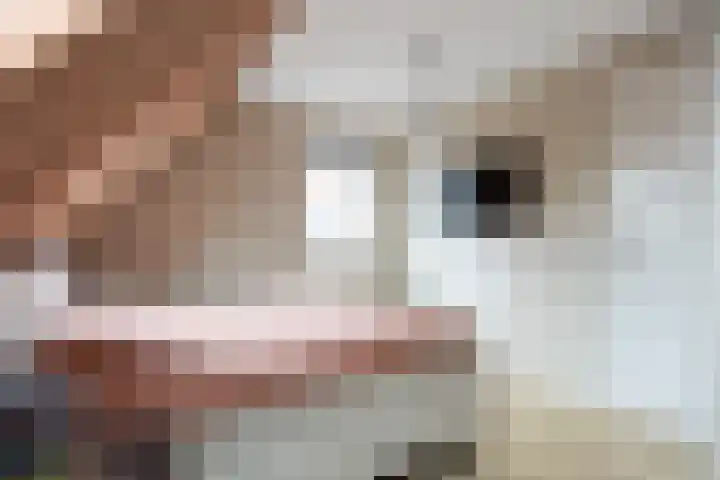 Tiengastraat 8 Opende thumbnail 30