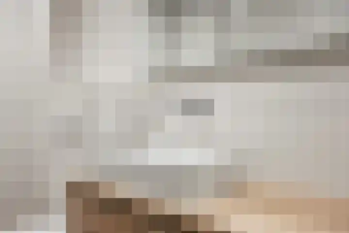 Tiengastraat 8 Opende thumbnail 38