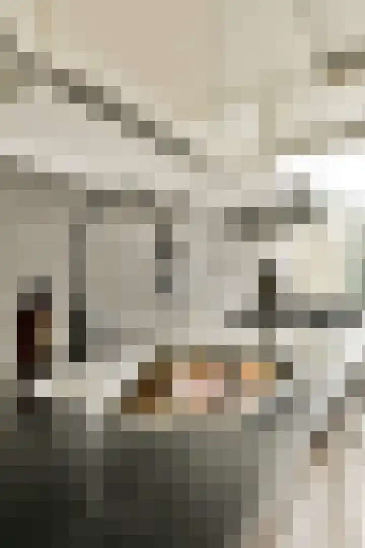 Tiengemeten 115 Amstelveen thumbnail 13