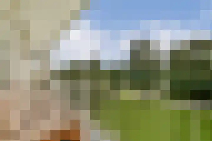 Tiengemeten 115 Amstelveen thumbnail 7