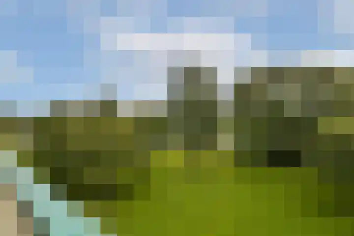 Tiengemeten 115 Amstelveen thumbnail 8