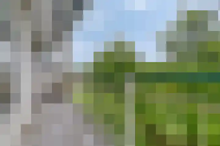 Tiengemeten 97 Amstelveen thumbnail 18