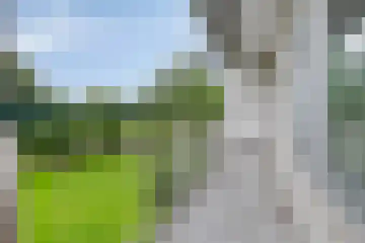 Tiengemeten 97 Amstelveen thumbnail 5