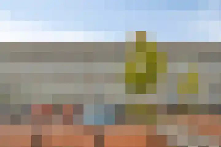 Tiengemeten 97 Amstelveen thumbnail 6