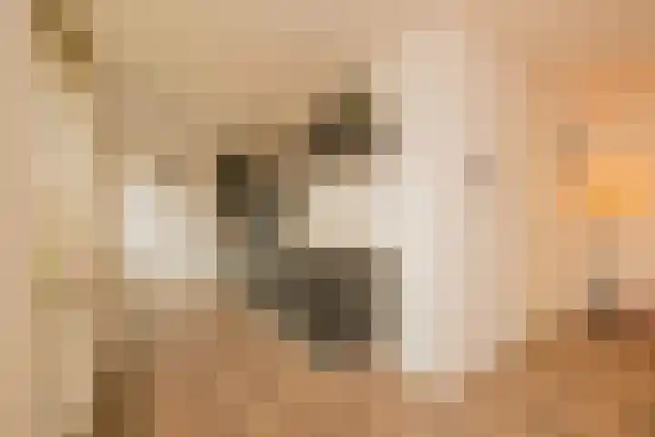 Tieratesstraat 19 Wateringen thumbnail 9