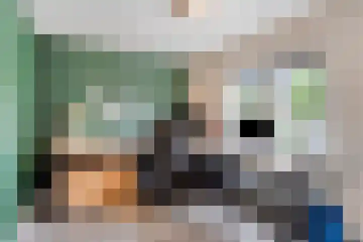 Tijgerstraat 28 Volkel thumbnail 19