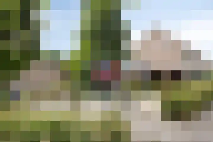 Tijgerstraat 28 Volkel thumbnail 34