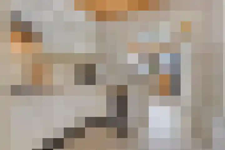 Tijgerstraat 28 Volkel thumbnail 7