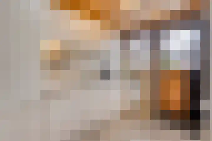 Tijgerstraat 28 Volkel thumbnail 9