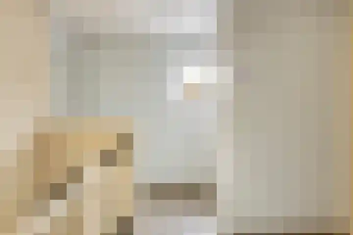Tijgerstraat 39 Volkel thumbnail 25