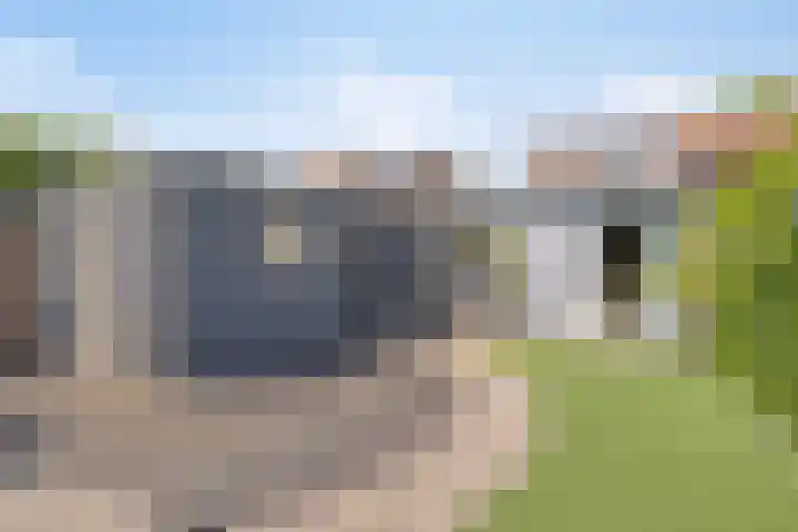 Tijgerstraat 39 Volkel thumbnail 37