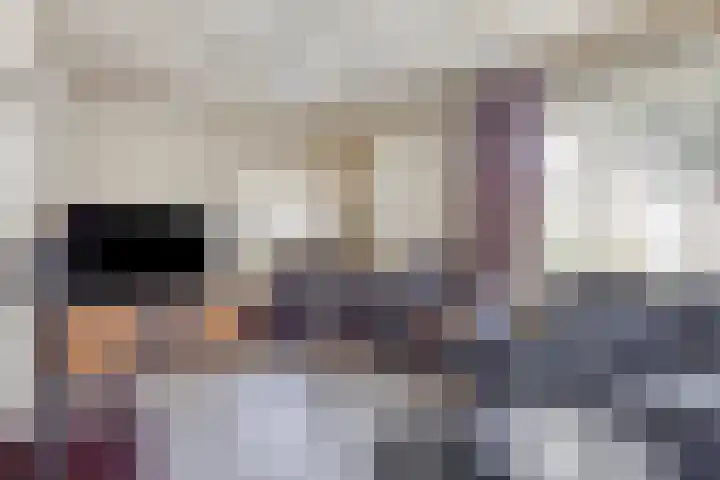 Tijgerstraat 39 Volkel thumbnail 4