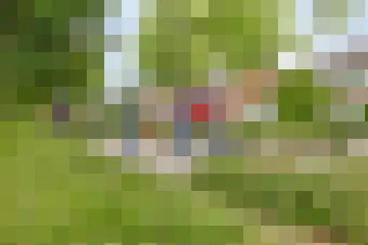 Tijgerstraat 39 Volkel thumbnail 45