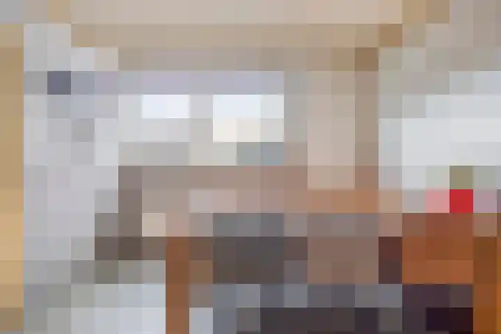Tijgerstraat 39 Volkel thumbnail 9