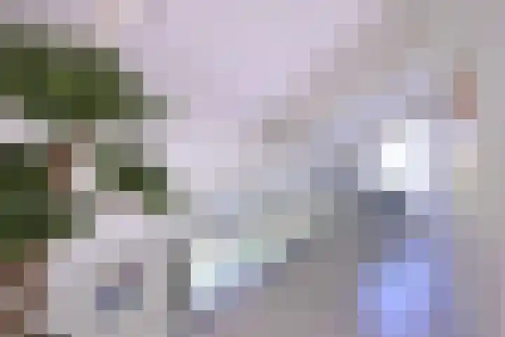 Tijinkweg 7 Deventer thumbnail 25