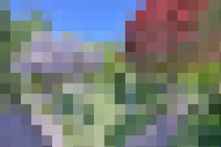 Tijinkweg 7 Deventer thumbnail 50