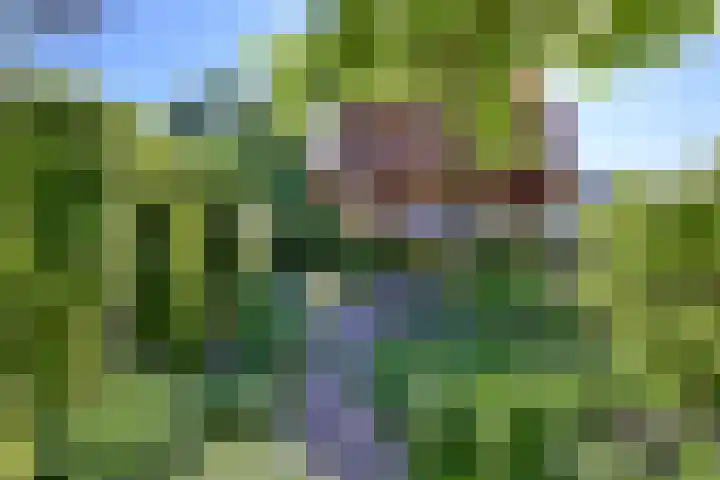 Tijinkweg 7 Deventer thumbnail 51