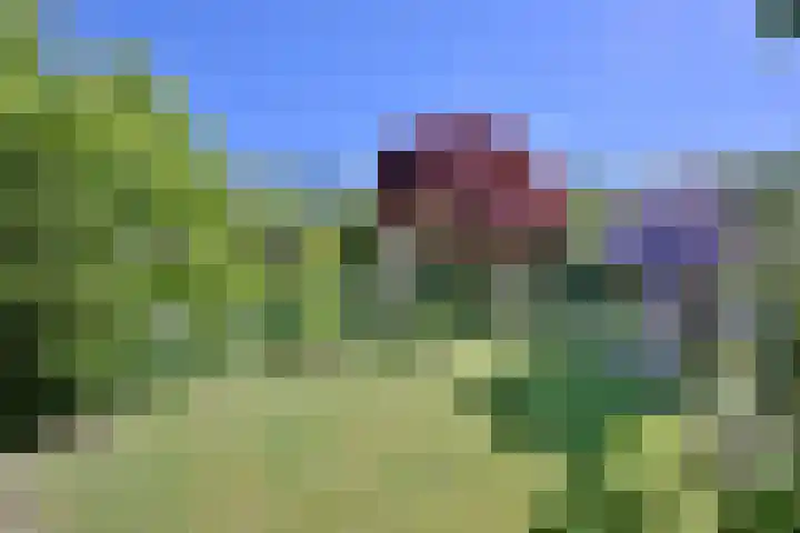 Tijinkweg 7 Deventer thumbnail 57
