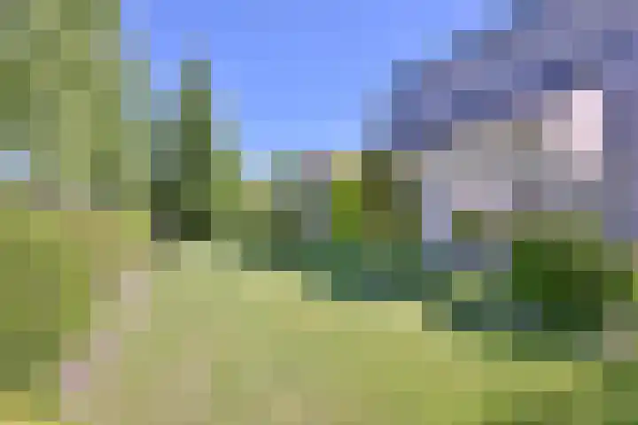 Tijinkweg 7 Deventer thumbnail 62