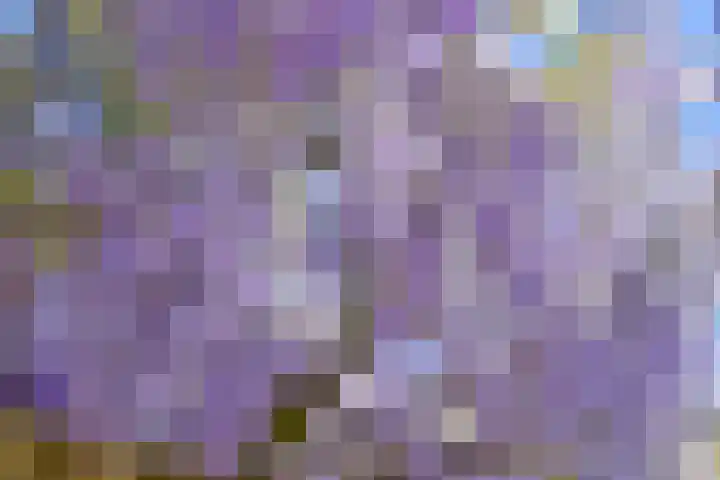 Tijinkweg 7 Deventer thumbnail 64
