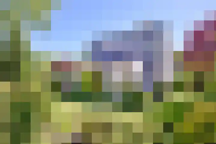 Tijinkweg 7 Deventer thumbnail 65