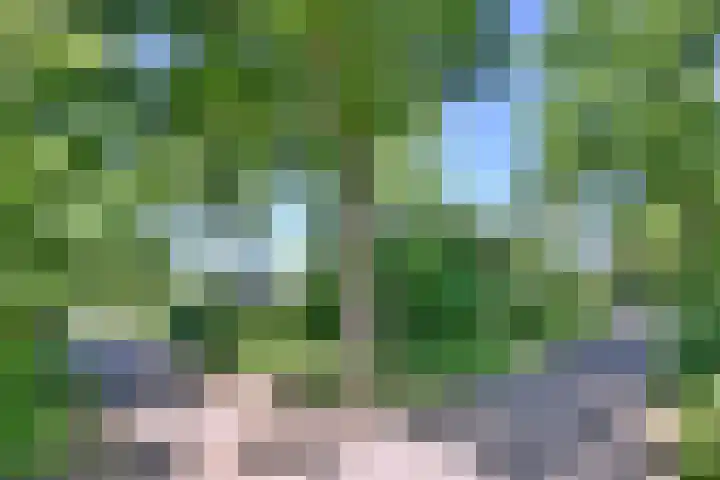 Tijinkweg 7 Deventer thumbnail 69
