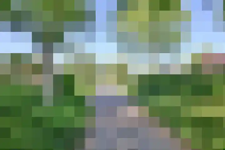 Tijinkweg 7 Deventer thumbnail 70