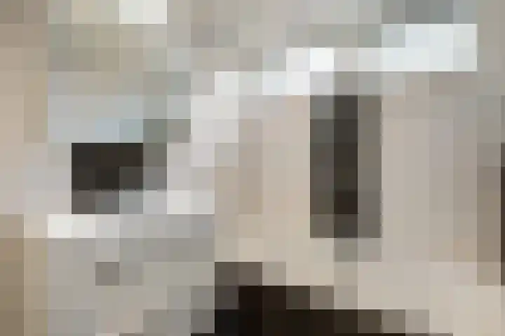 Tijm 11 Raalte thumbnail 23