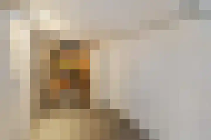 Tijm 11 Raalte thumbnail 33