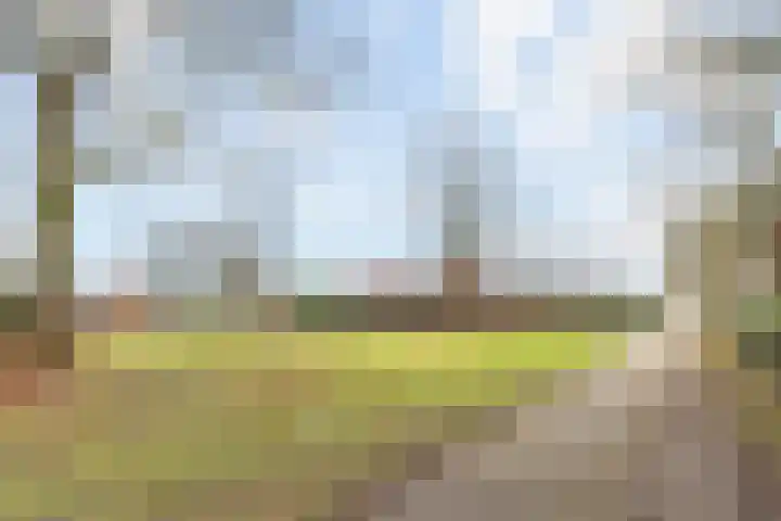 Tijm 11 Raalte thumbnail 34