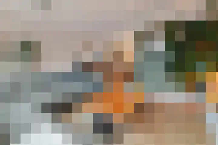 Tijm 11 Raalte thumbnail 7