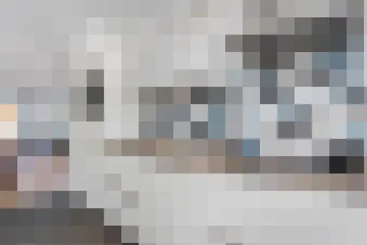 Tijm 19 Hardenberg thumbnail 19