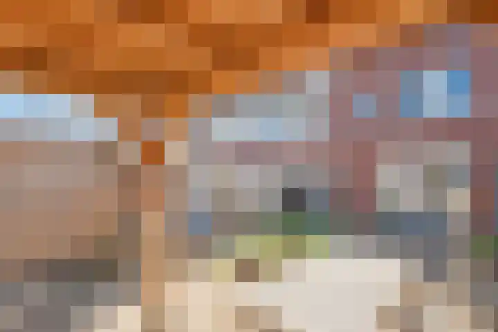 Tijm 19 Hardenberg thumbnail 37
