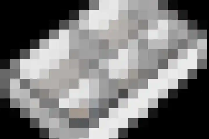 Tijm 19 Hardenberg thumbnail 43