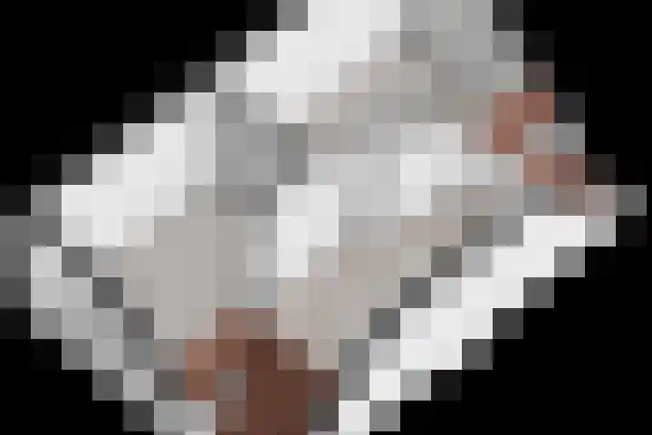 Tijm 19 Hardenberg thumbnail 45