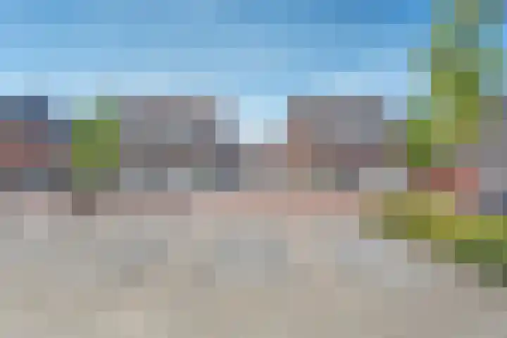 Tijm 19 Hardenberg thumbnail 8