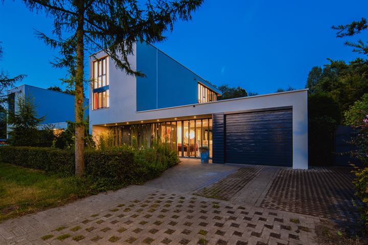 Tijmblauwtjelaan 20 in Son en Breugel foto