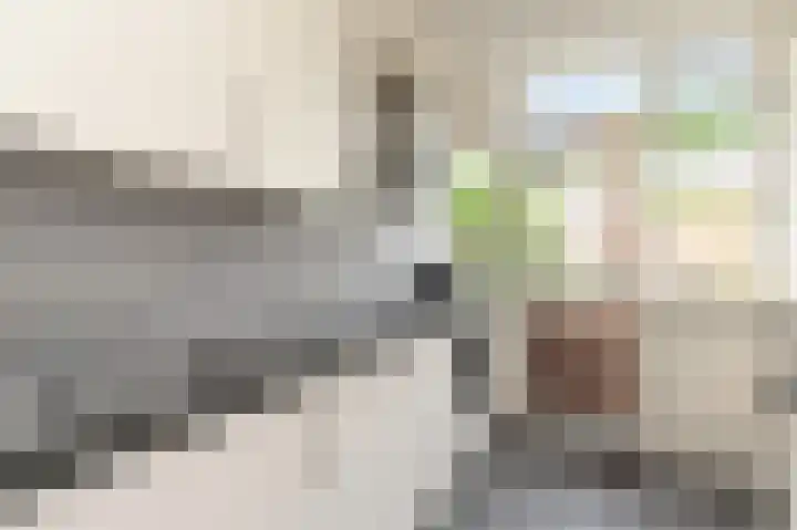 Tilanussingel 11 Pijnacker thumbnail 11
