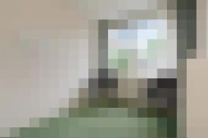Tilanussingel 11 Pijnacker thumbnail 19