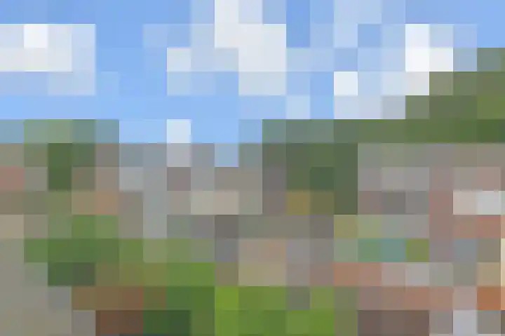 Tilanussingel 11 Pijnacker thumbnail 26